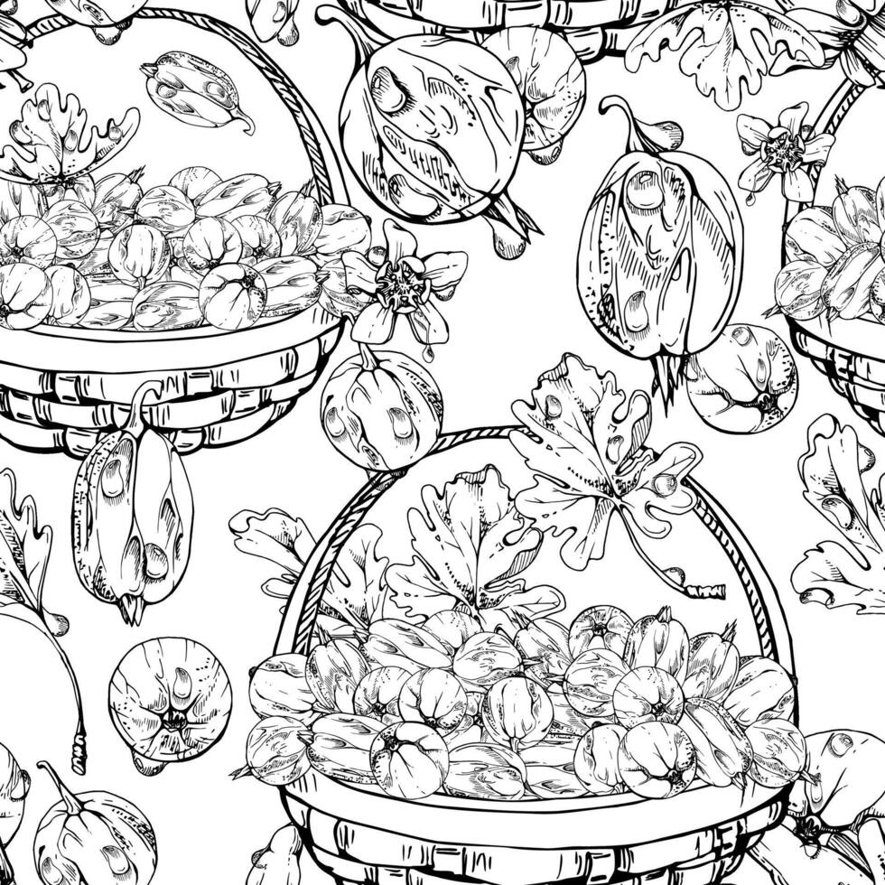 Gooseberry Currant in weaved basket with leaves, hand drawn in ink, scattered ripe picked berry harvest. Isolated seamless pattern. Dessert cafe menu, cookbook, craft farmers market, gardening vector