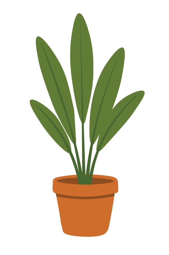 Cartoon flat plant in terracotta pot. Green indoor decor for yoga, spa or home use. vector