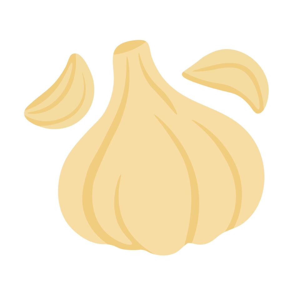 Cartoon garlic bulb with cloves isolated on white background, flat food style for cooking. vector