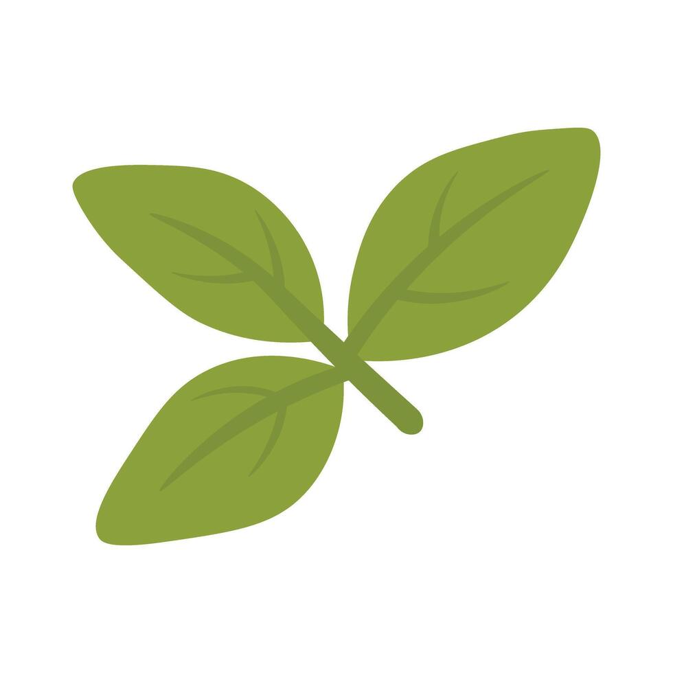 Simple cartoon basil leaves branch for cooking, decoration, isolated, flat food style. vector