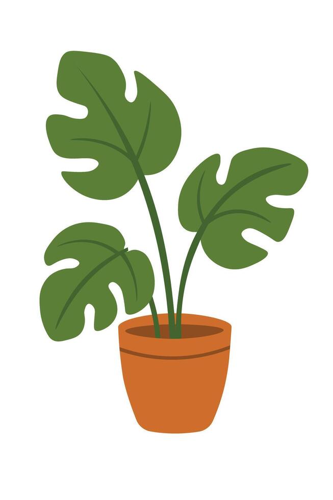 Flat cartoon monstera plant in terracotta pot. Botanical home decor for yoga or meditation zone. vector