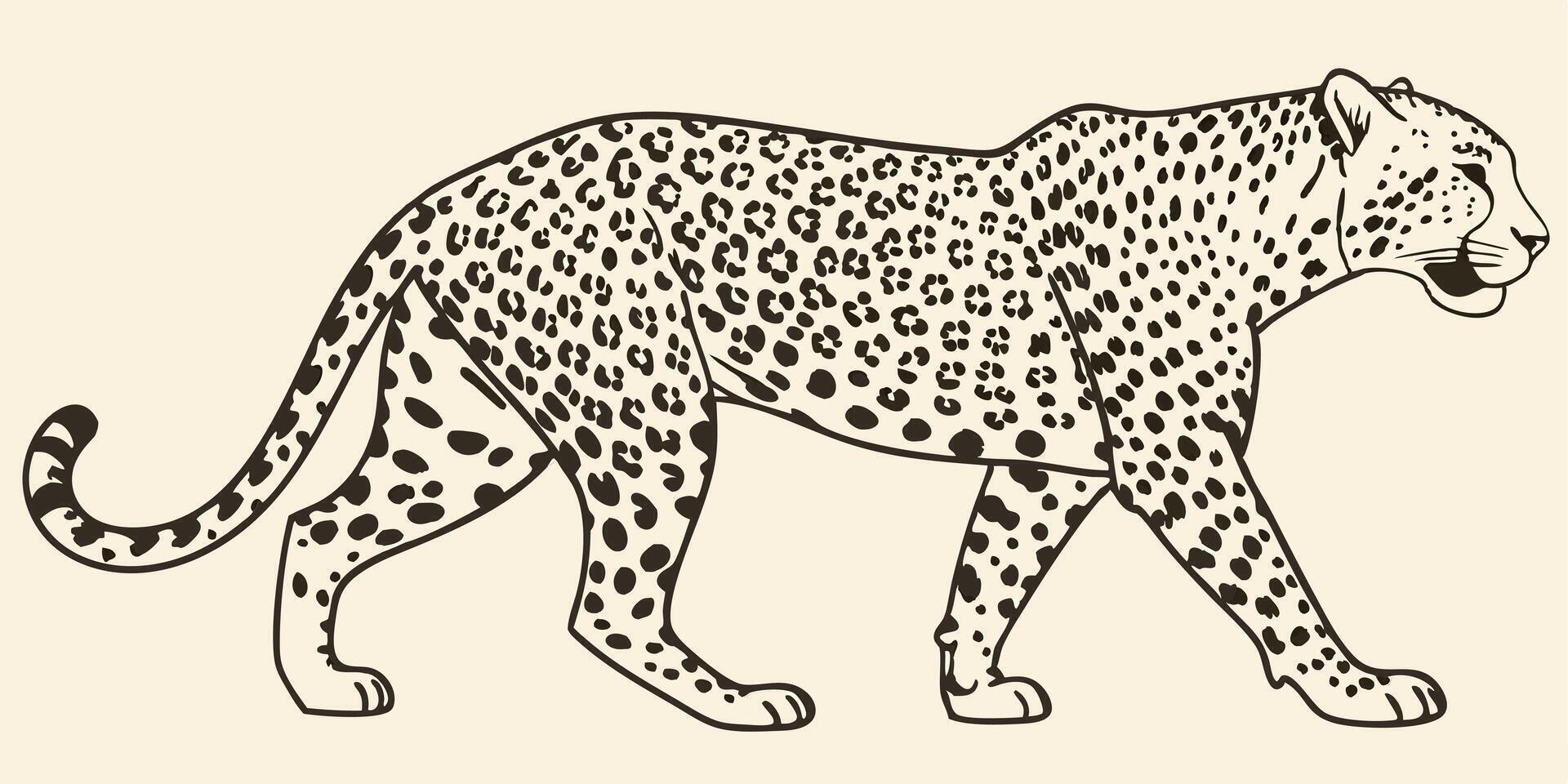 Elegant Black and White Illustration of a Walking Leopard vector