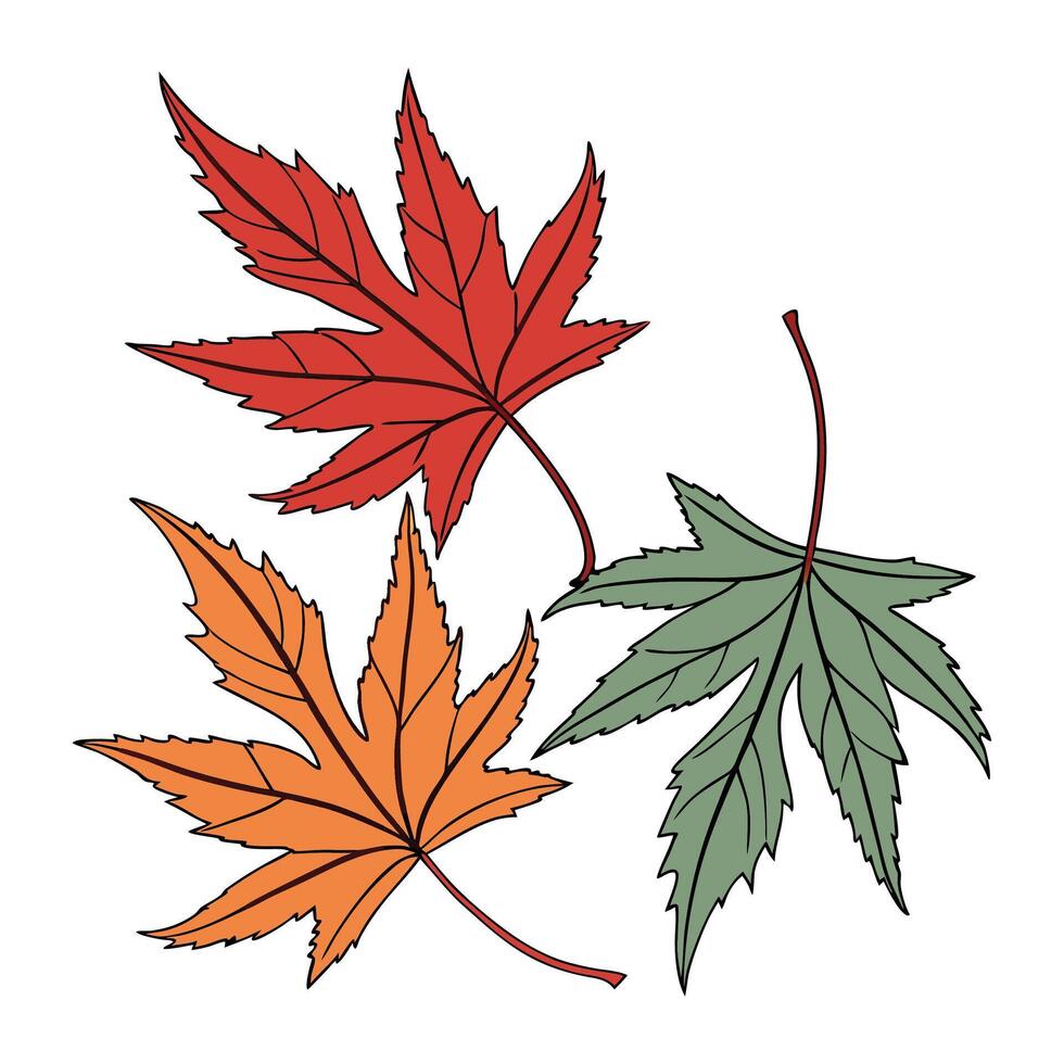 Autumn leaves and nature illustration vector