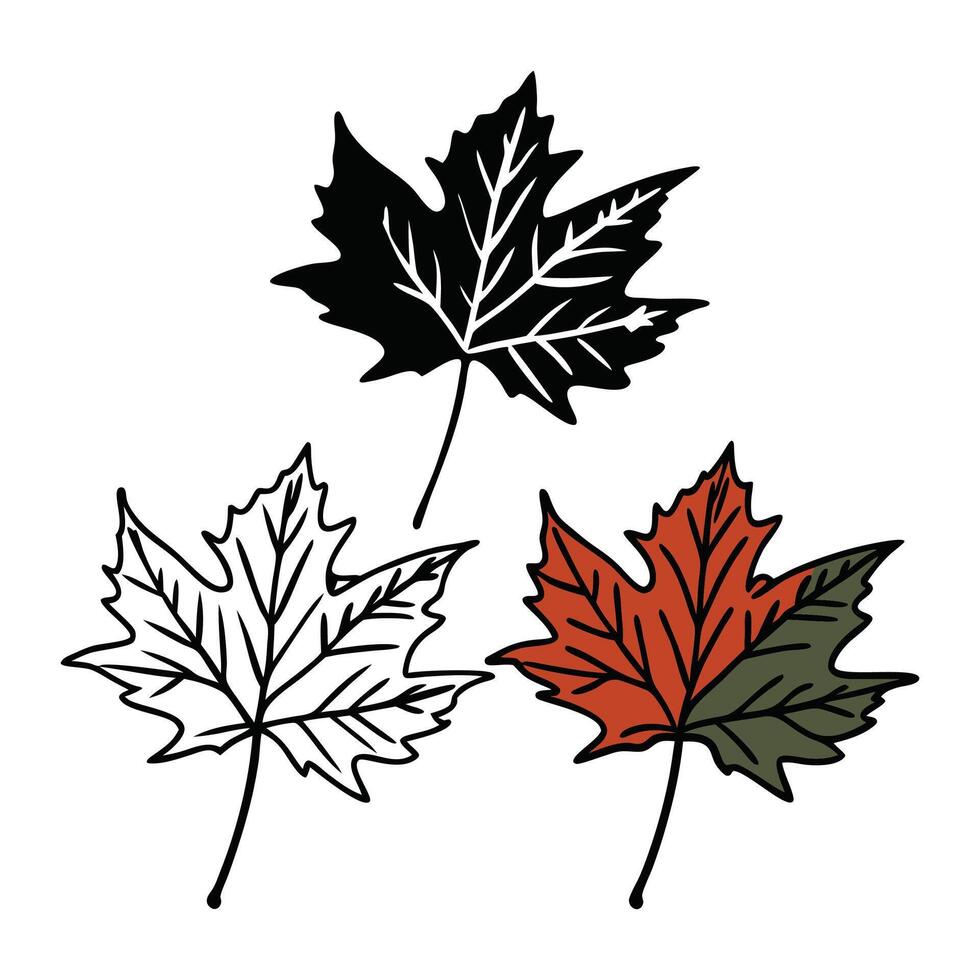 Fall Autumn Leaves Leaf SVG Digital Instant vector