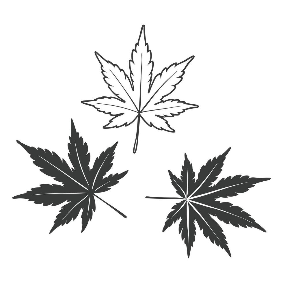 Three maple leaves are shown with a cross on the vector