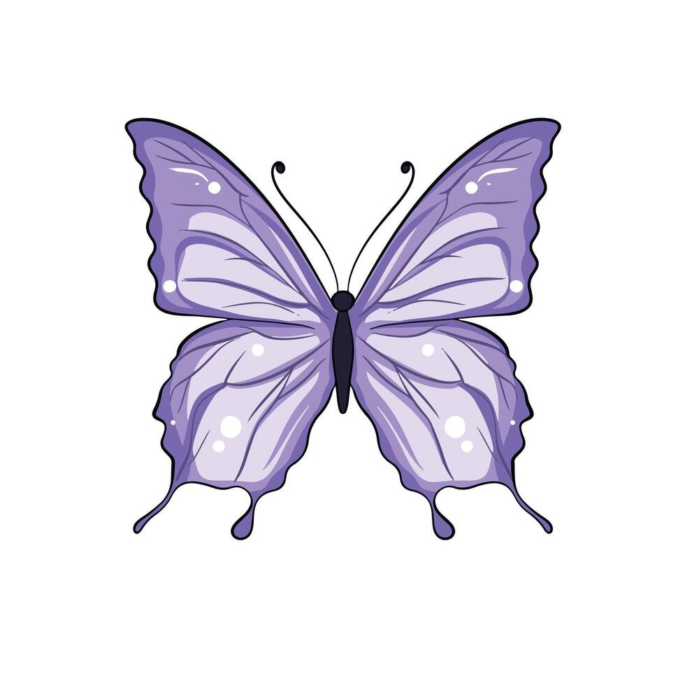 butterfly isolated on white background vector