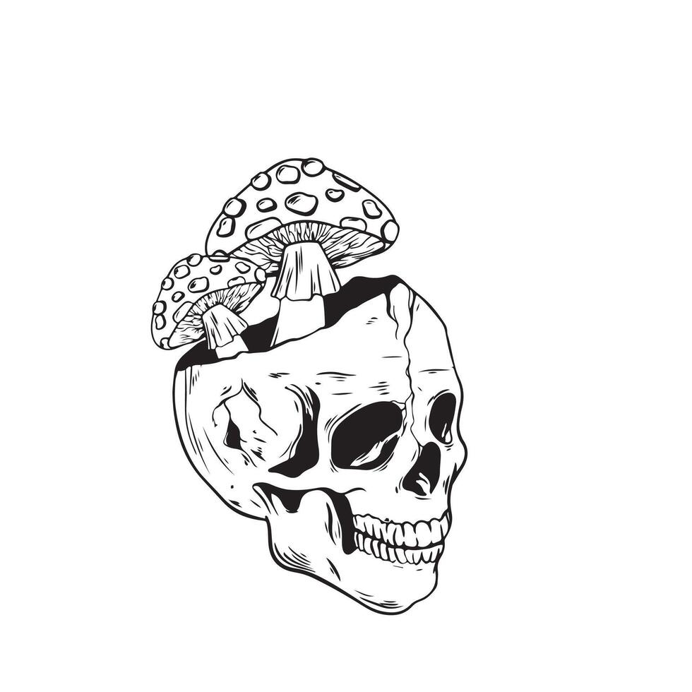 skull mushroom sketch on a white background illustration art vector