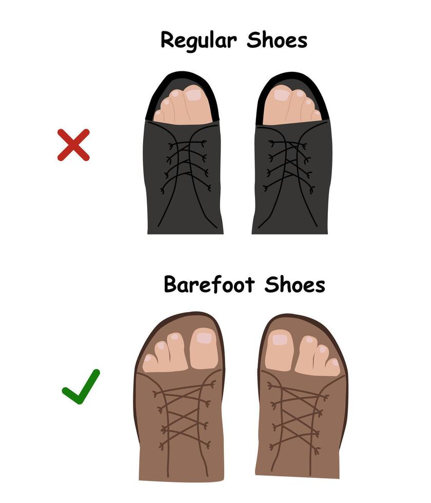 Barefoot shoes. Compare regular barefoot shoes. This shoe has a flexible upper and outsole that allows the feet to move and flex naturally, and effectively engage every bone vector