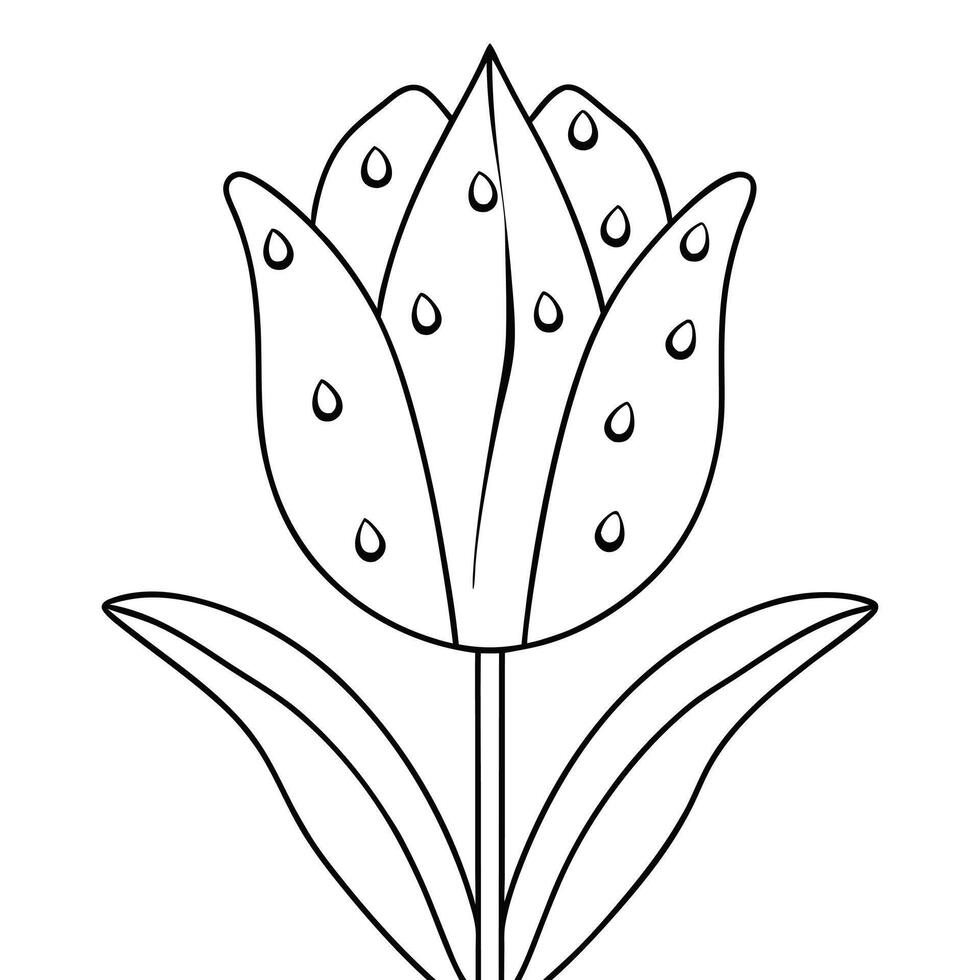 tulip flower line art springtime vector