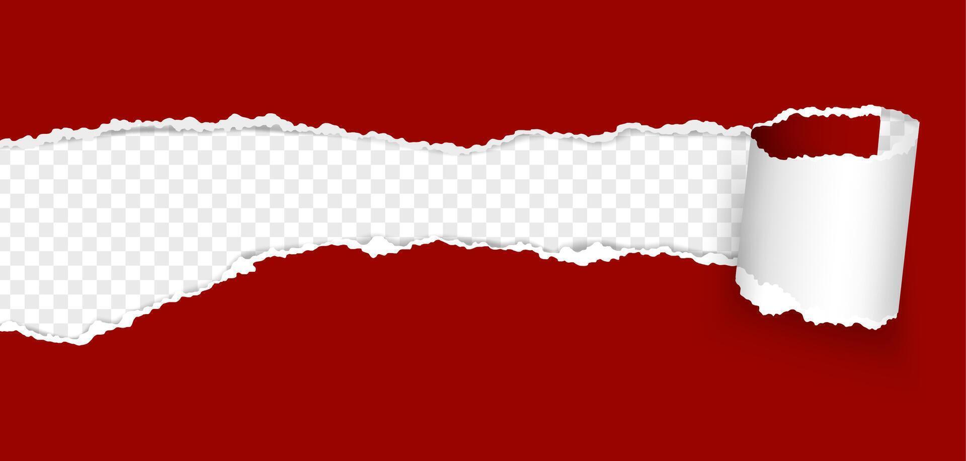 Torn paper hole. Ripped paper sheet curl with torn edge. Hole in teared page with rolled strip. Destroyed document sheet. 3D banner template with space for text vector