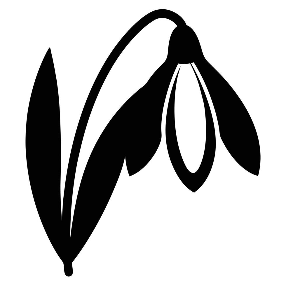 Galanthus 'George elwes', Elwesii - Plicatus, Snowdrop vector