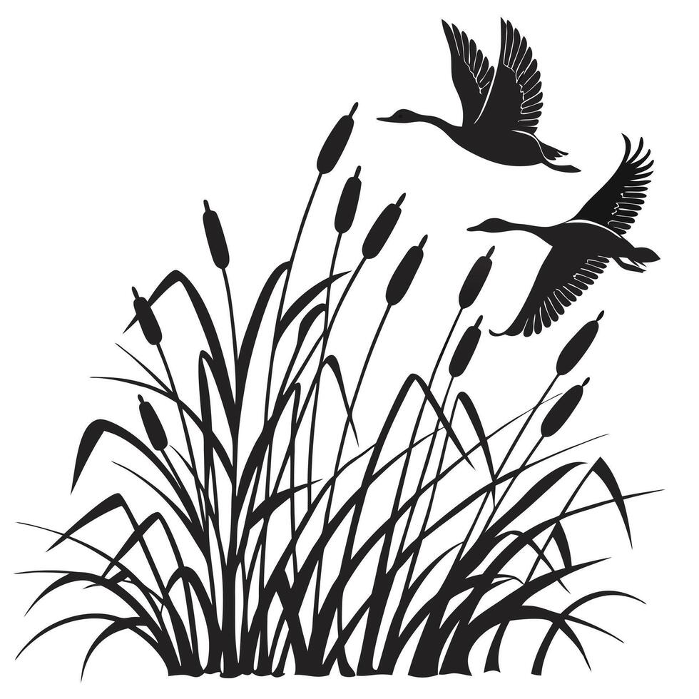 Silhouette of Two Geese Flying Over Cattails vector