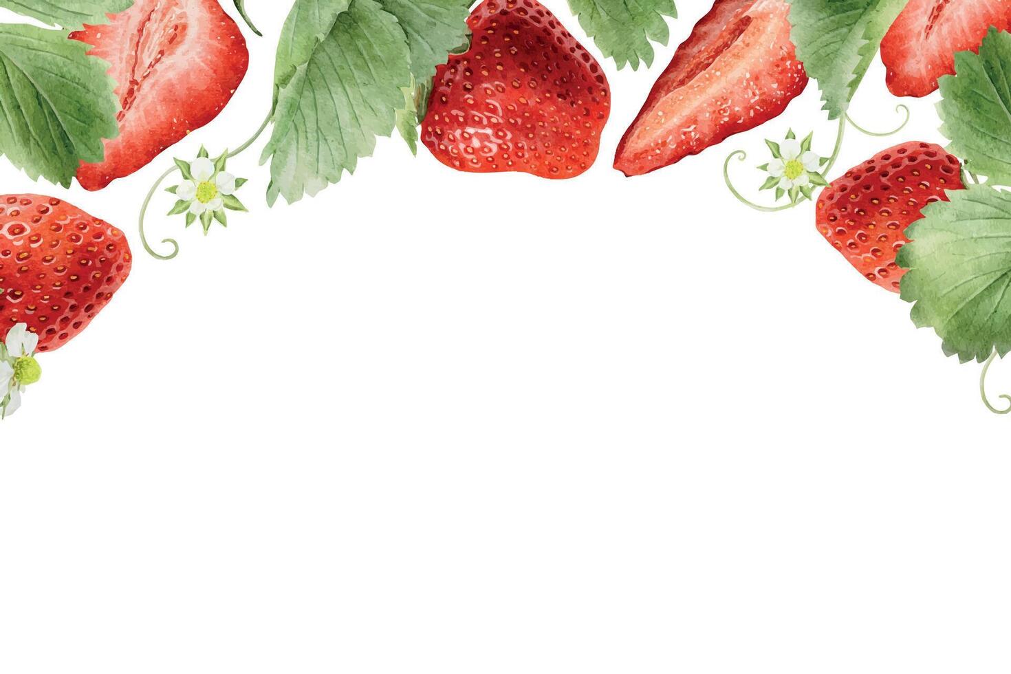 Template of red Strawberry berries, leaves, flowers and runners. Watercolor botanical frame of ripe summer fruits. Isolated hand drawn rural botanical wreath for package, cosmetic, card vector