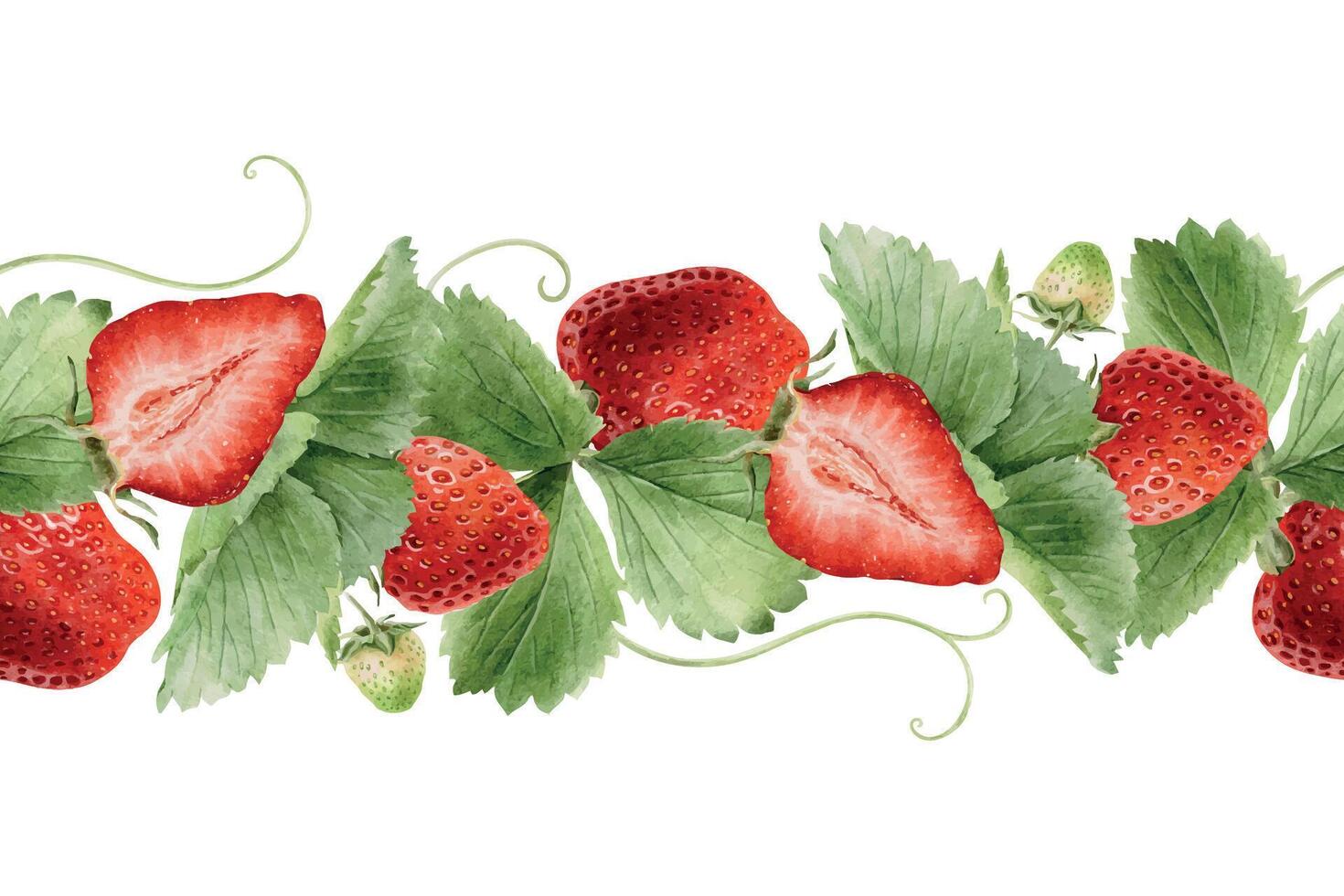Strawberry berries, slices, leaves, and runners. Watercolor floral seamless border of ripe red summer fruits with greenery. Isolated hand drawn rural botanical banner for package, cosmetic, wallpapers vector