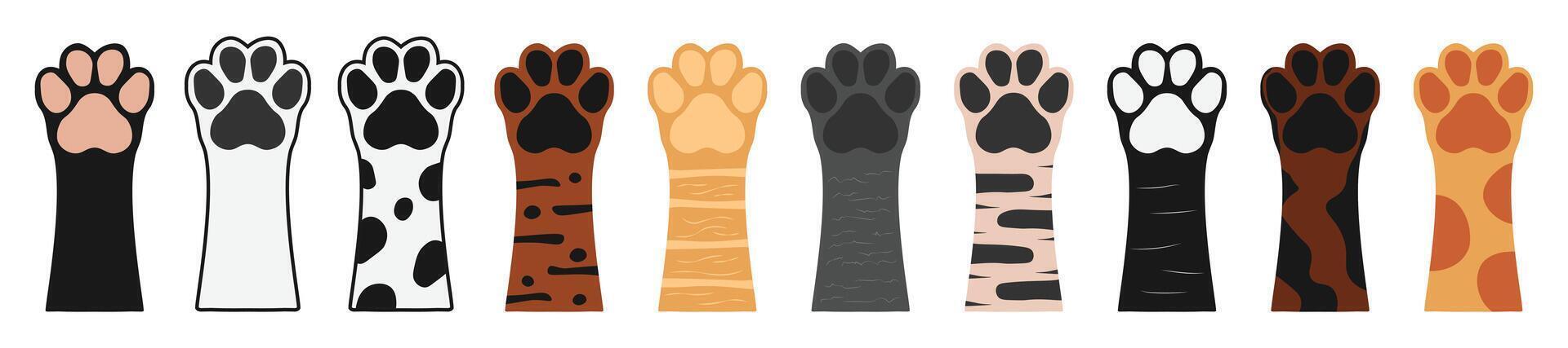 Cute set of dogs paws up pets feet. Dog raised paws set with colorful fur vector
