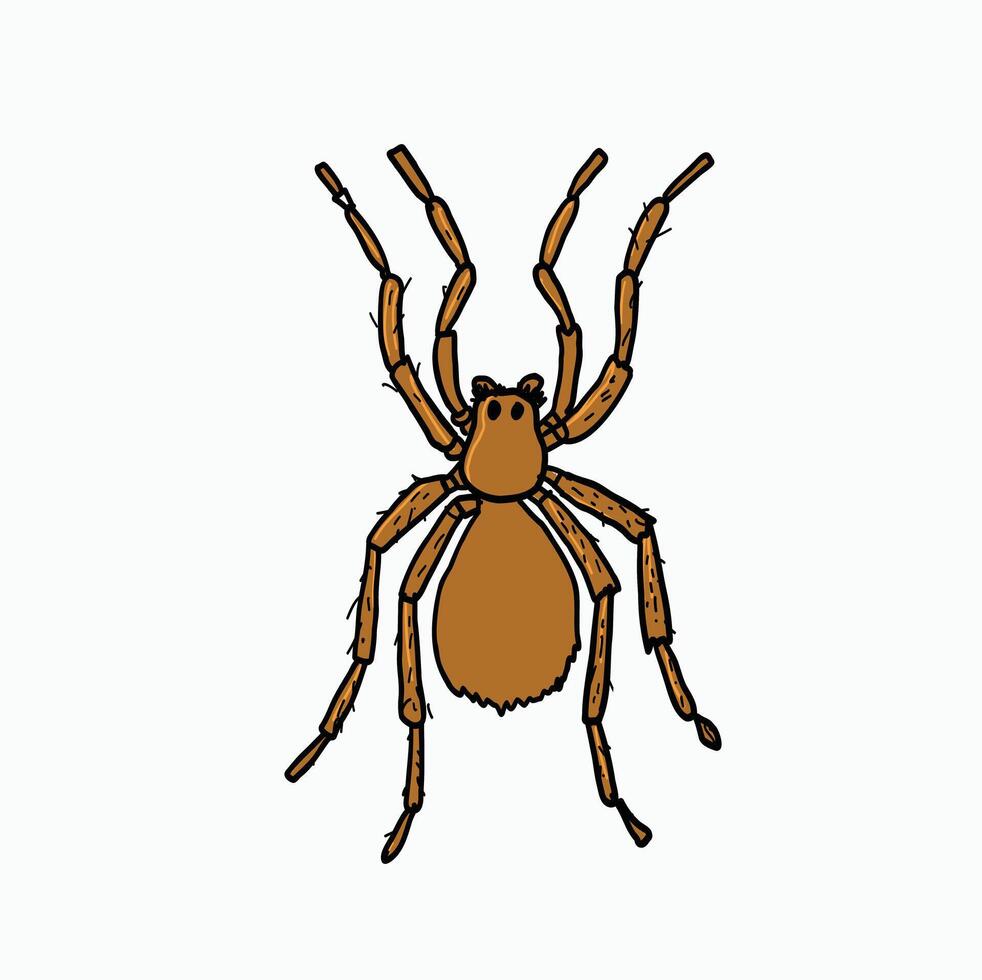 cute spider. Single Spider Icon or Logo. Cartoon Style Illustration vector