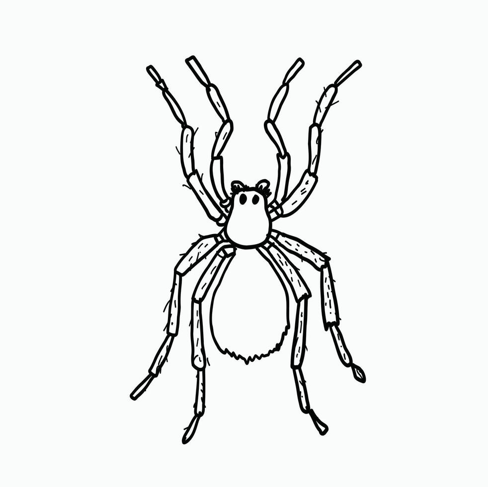 black and white line. cute spider. Single Spider Icon or Logo. Cartoon Style Illustration vector