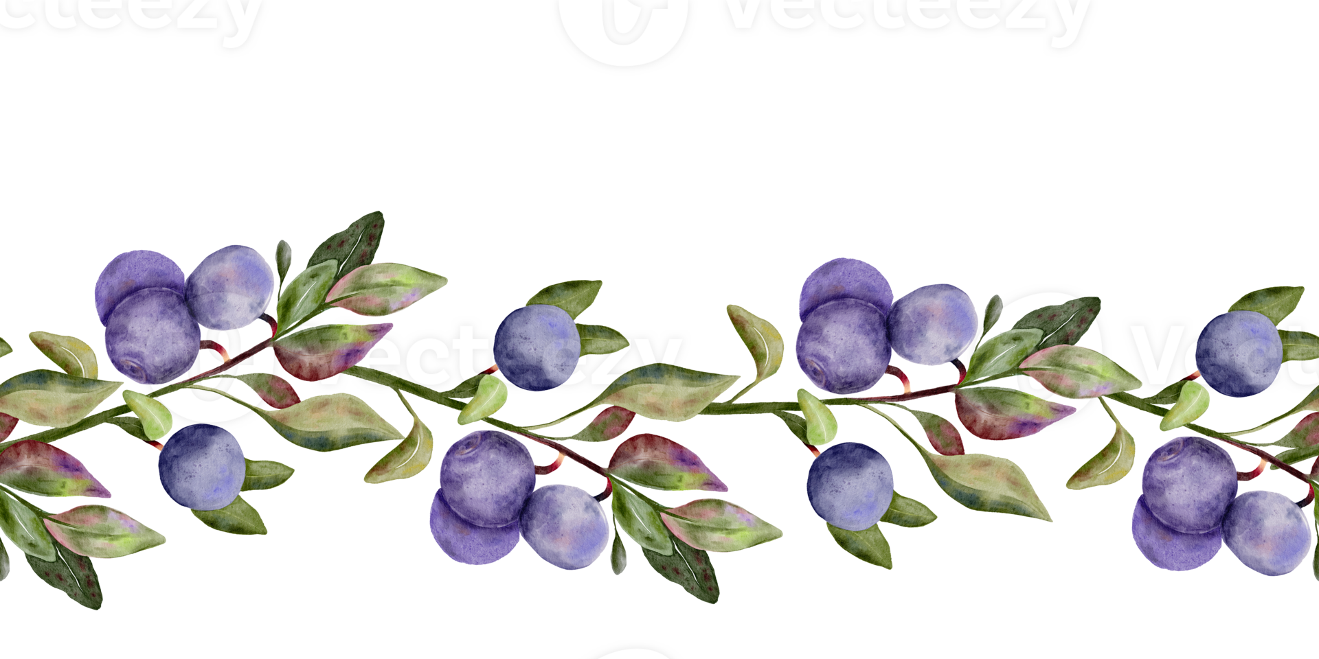Blueberry seamless border, banner with green leaves on branch, hand drawn watercolor, ripe forest berry. Isolated frame botanical illustration for restaurant, cafe menu, wedding, farmers market png