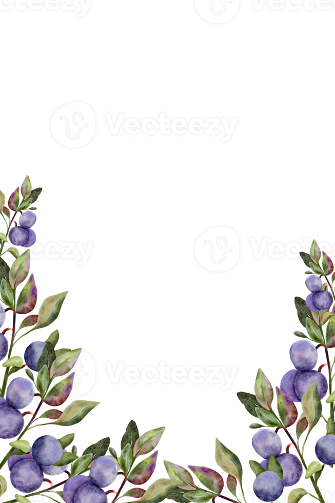 Blueberry border with green leaves on branch, hand drawn watercolor, ripe forest berry. Isolated frame botanical illustration for restaurant, cafe menu, wedding, farmers market png