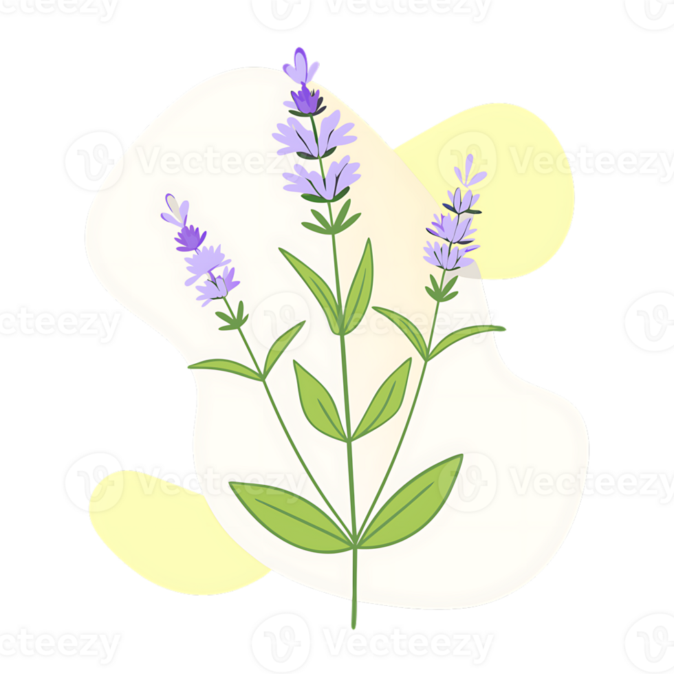 Colourful cooking illustration of herbs with a transparent background in a blob style png