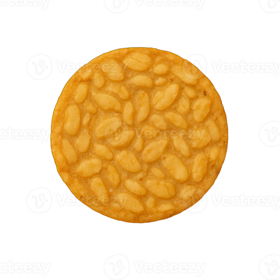 Fried Round Tempeh Slice Isolated on Transparent Background, png