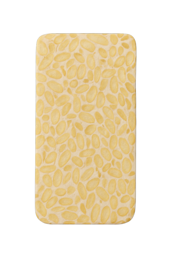 Raw Tempeh Soybean Block Isolated on Transparent Background, png