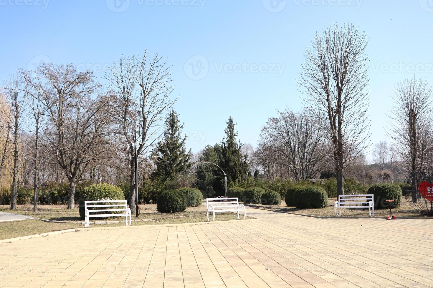 A Serene Park Featuring Benches Surrounded by Beautiful Trees on a Clear and Bright Day photo