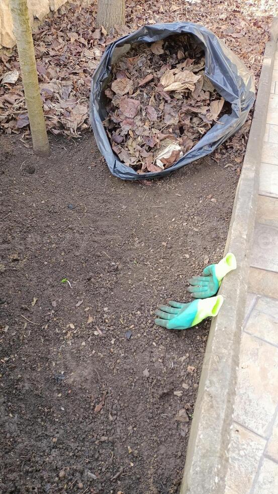 Garden CleanUp Preparing Soil and Clearing Leaves for an enjoyable and productive space photo