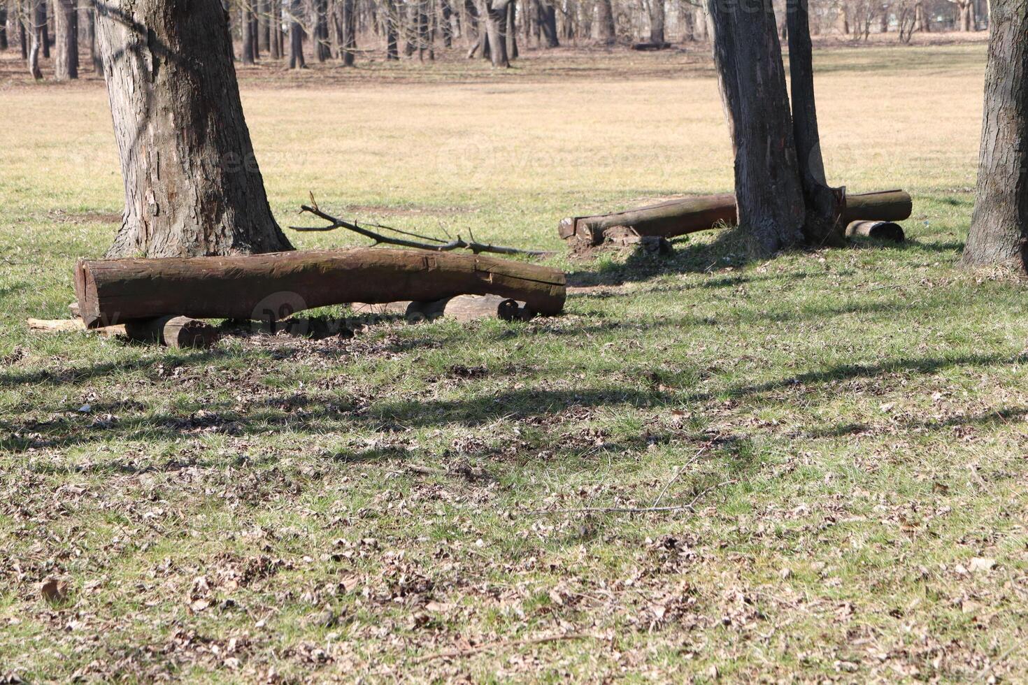 A beautifully designed Natural Seating Area in a lively Park featuring Wooden Logs for seating photo