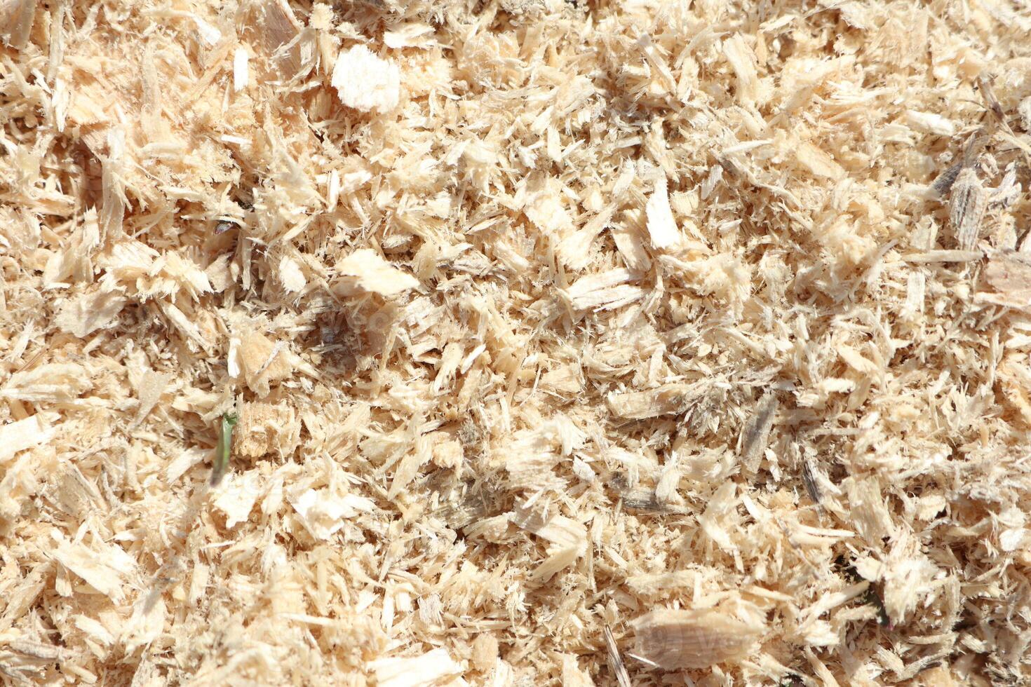 Utilize Wood Shavings Background for Various Creative and Artistic Purposes Effortlessly photo