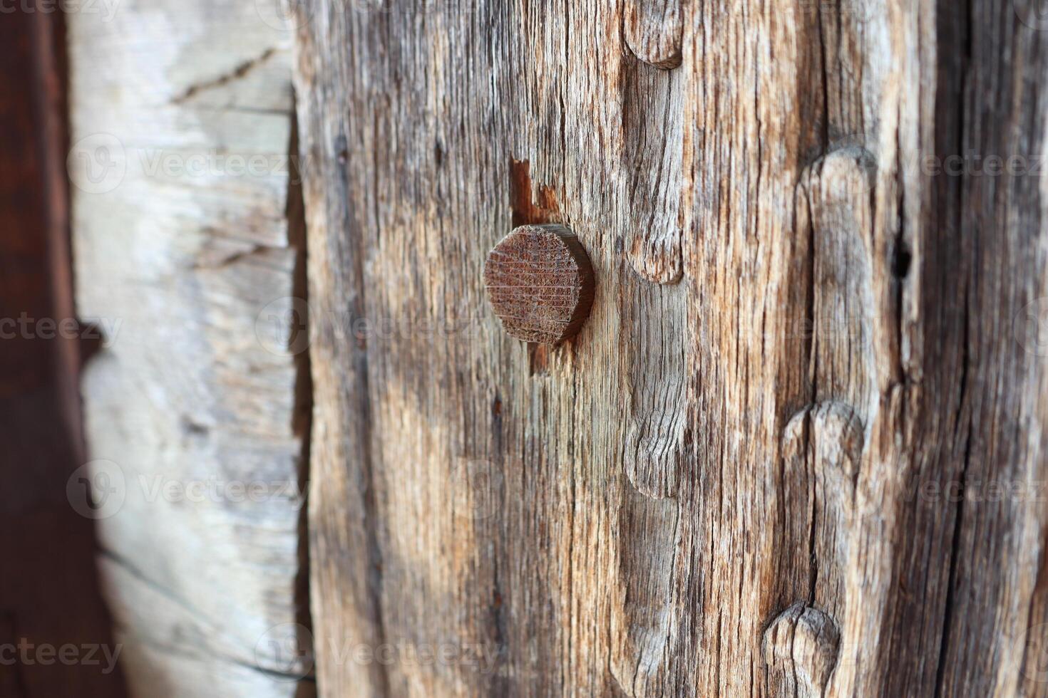 A CloseUp Image Depicting Weathered Wood Featuring an Old Rusty Nail Embedded Within It photo