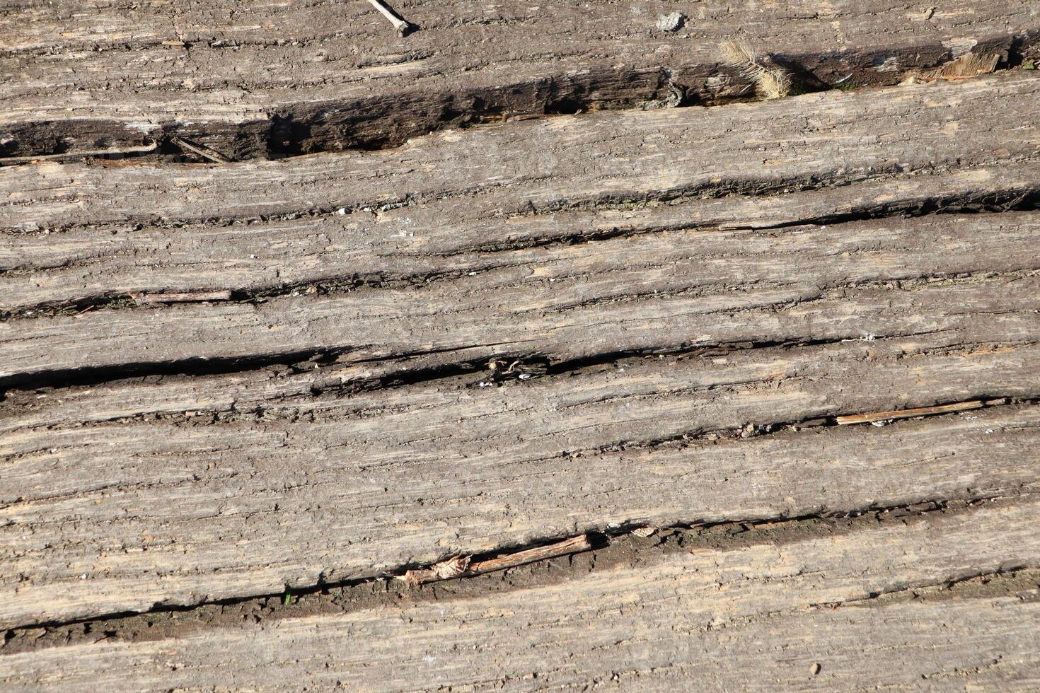 A beautifully textured wooden surface featuring natural cracks, lines, and unique patterns photo