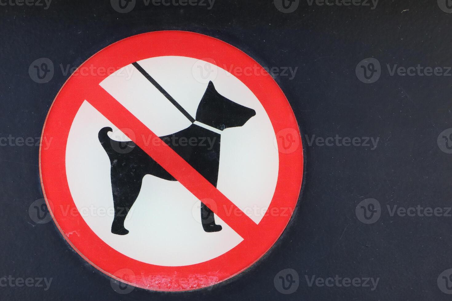 A sign that clearly states No Dogs Allowed featuring a symbol of a leash for emphasis photo
