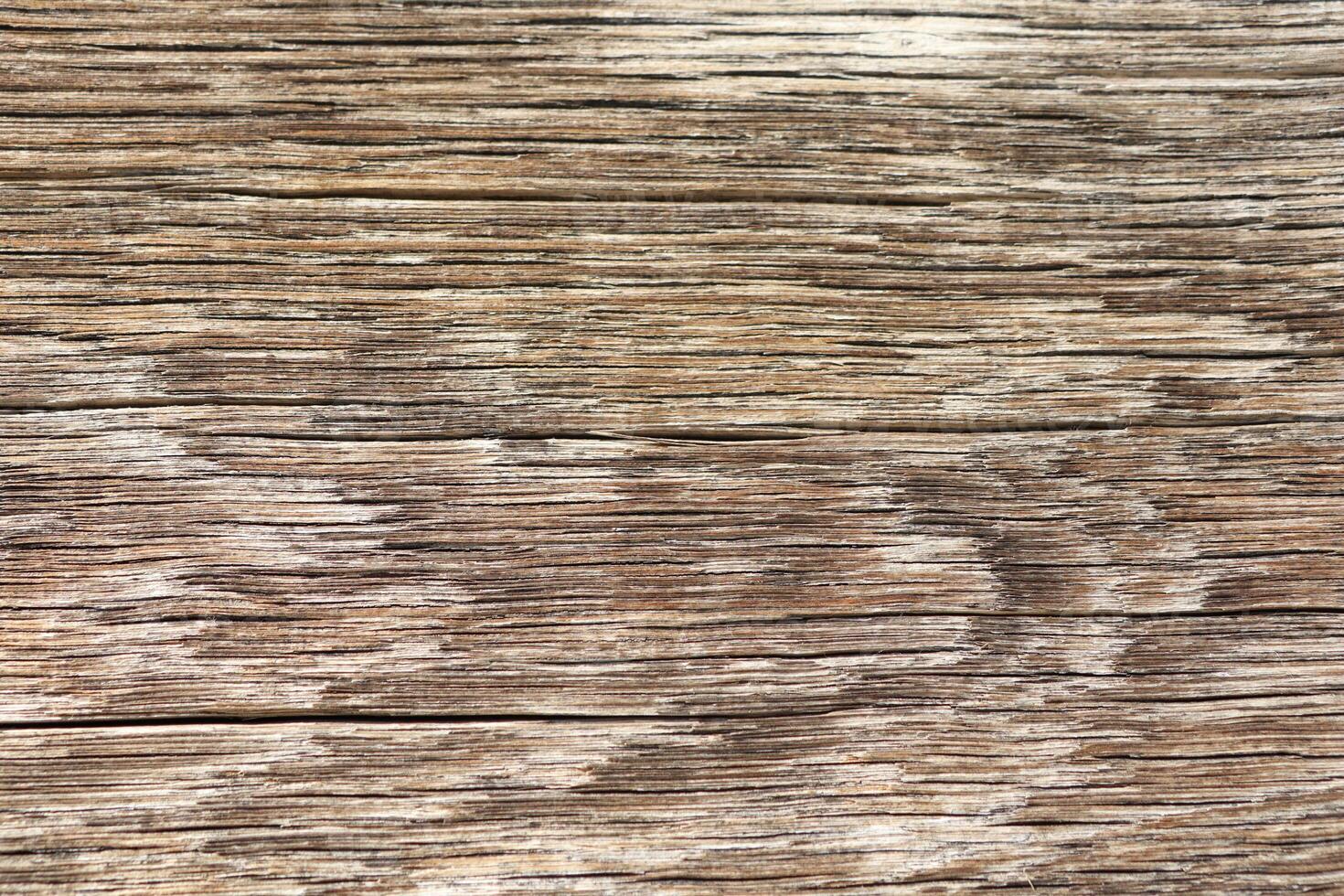 Weathered Wooden Surface Featuring Unique Natural Textures and Intricate Patterns photo