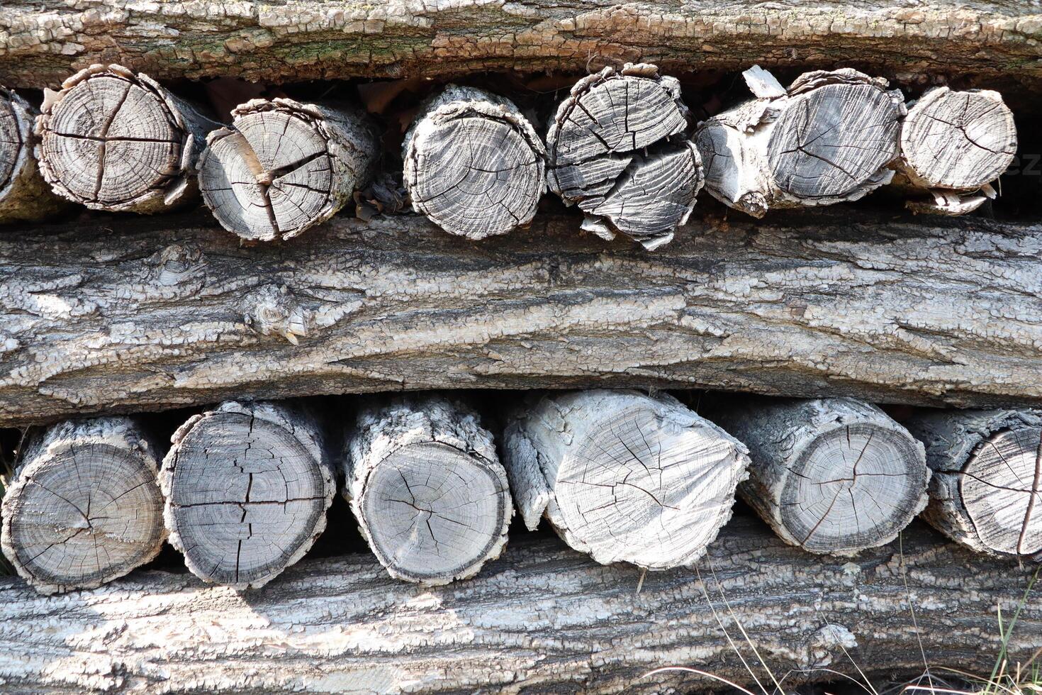 Beautiful Stacked Logs Arranged Naturally in a Rustic Setting Perfect for Photography photo
