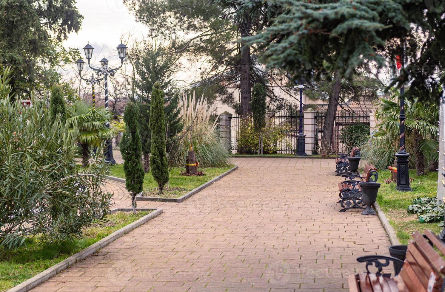 A park with benches and trees in the middle of a city photo