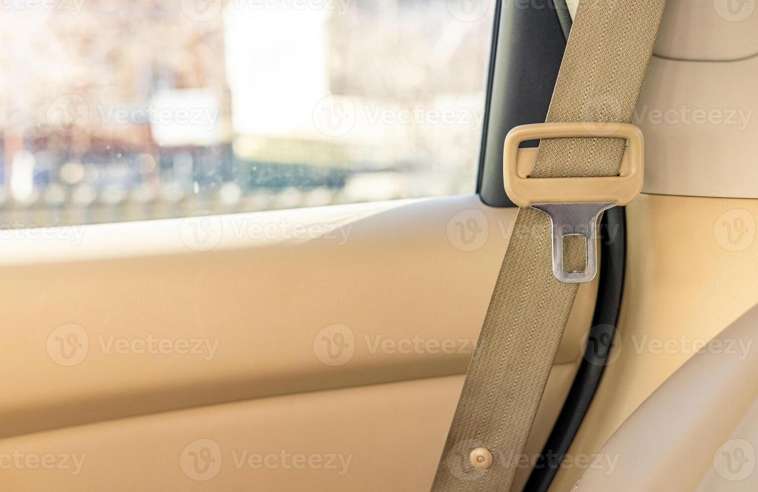 A seat belt is shown in the back seat of a car photo