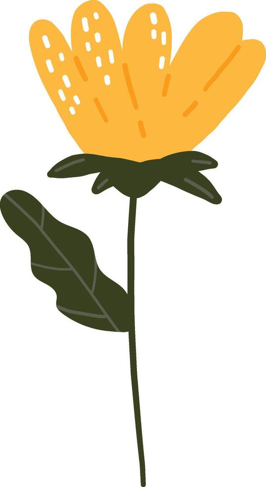 Flower, Plant illustration, Digital flower design, Abstract floral item , yellow flower vector
