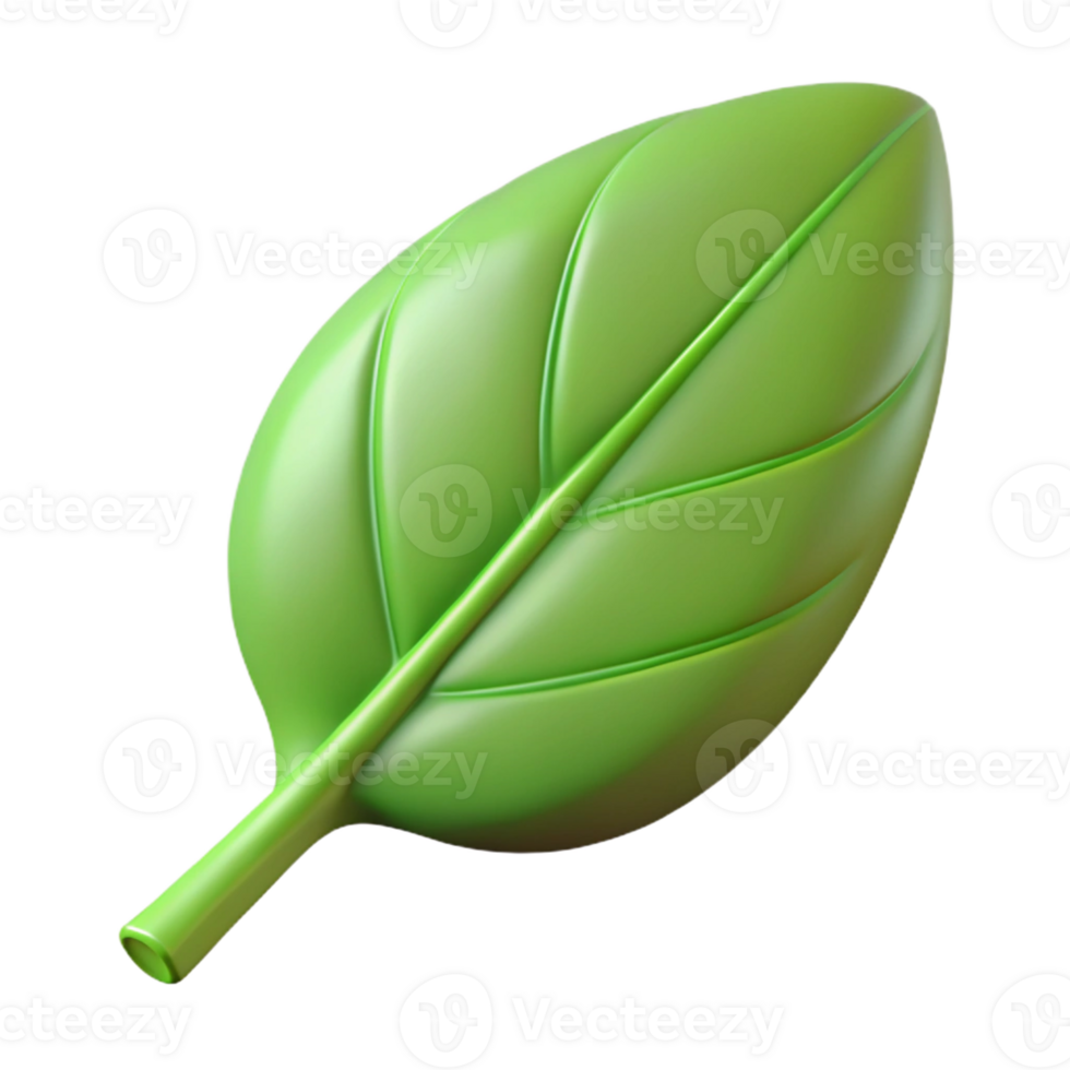 serene renaissance Single leaf with clean lines and flat color. Minimal, with Scalable Design. authentic png