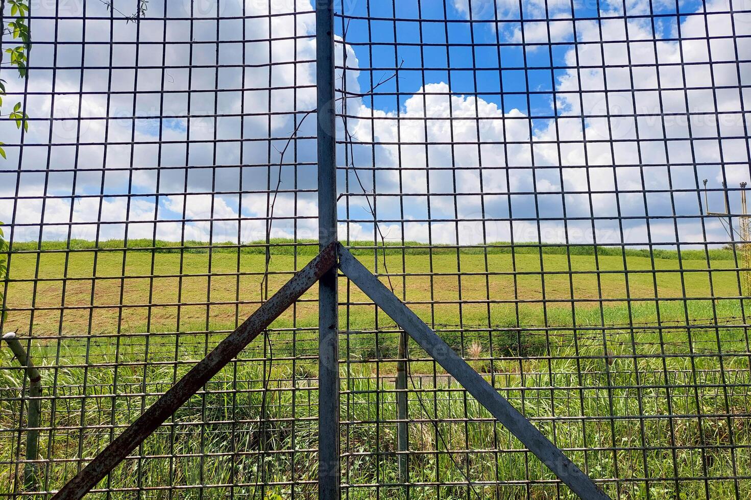Wire Fence on a grassland background during the day photo