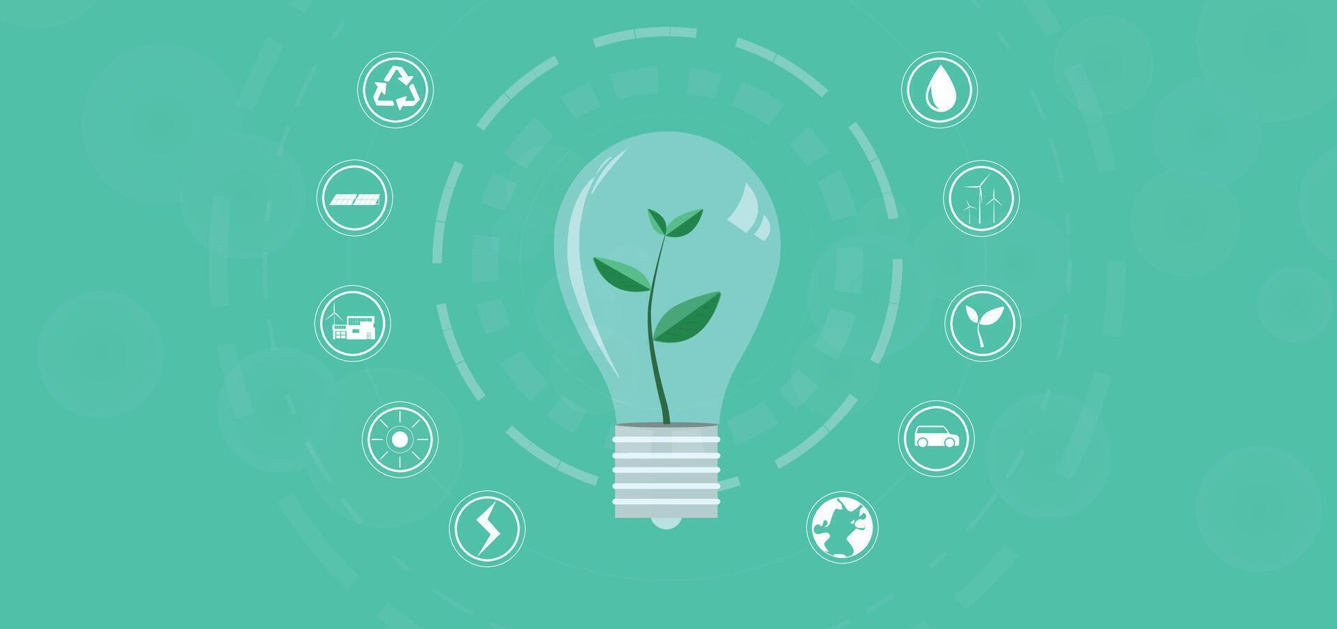Sustainable living with lightbulb and plant concept, with environmentally friendly green energy. icon symbol illustration green banner background. vector