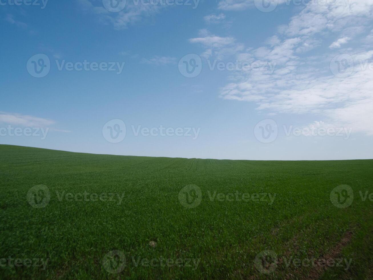 A tranquil and serene landscape showcases a vast lush green field that extends beneath a bright blue sky photo