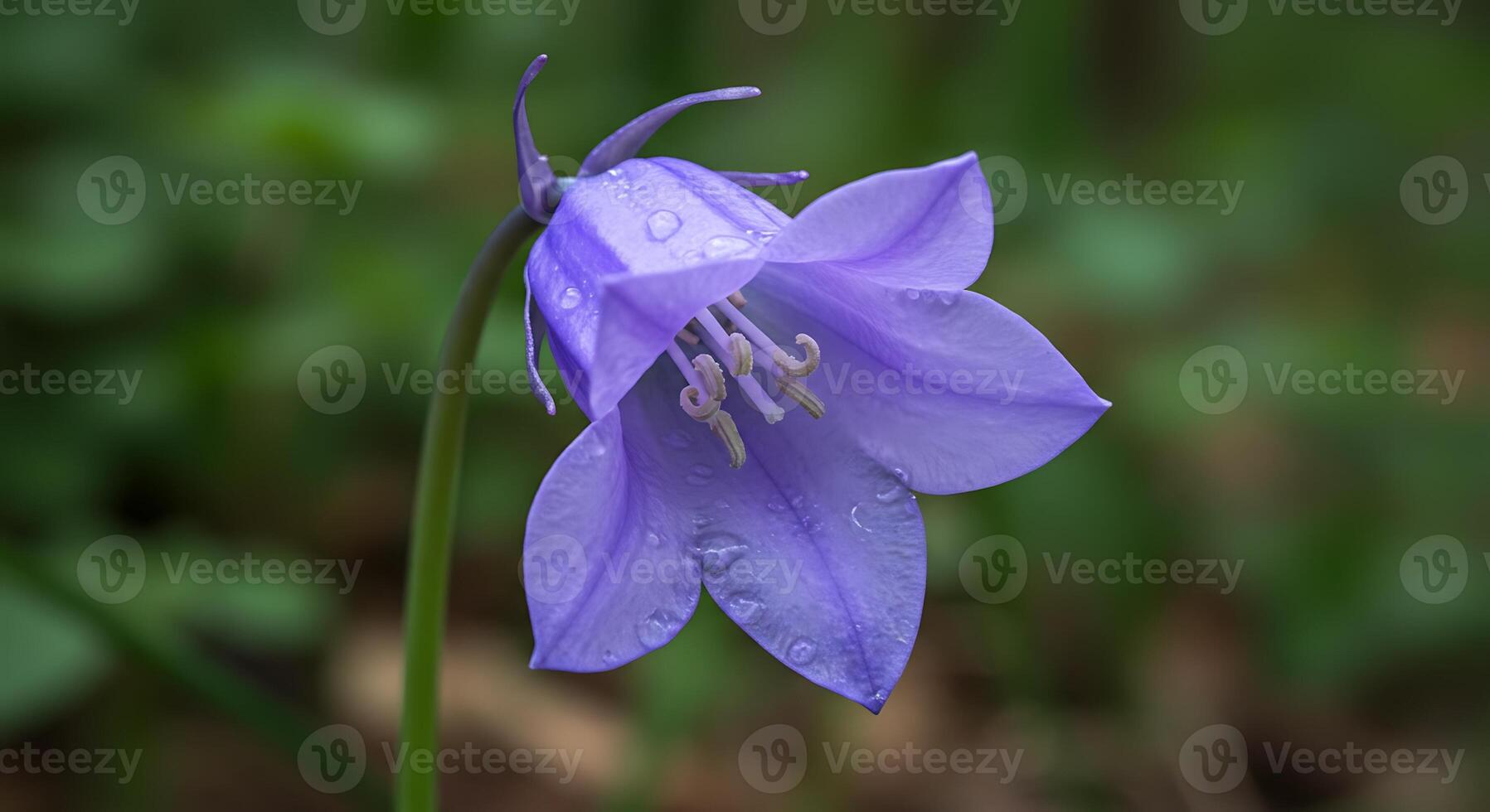 Stunning Close-Up of a Flower in Natural Light Outdoors photo