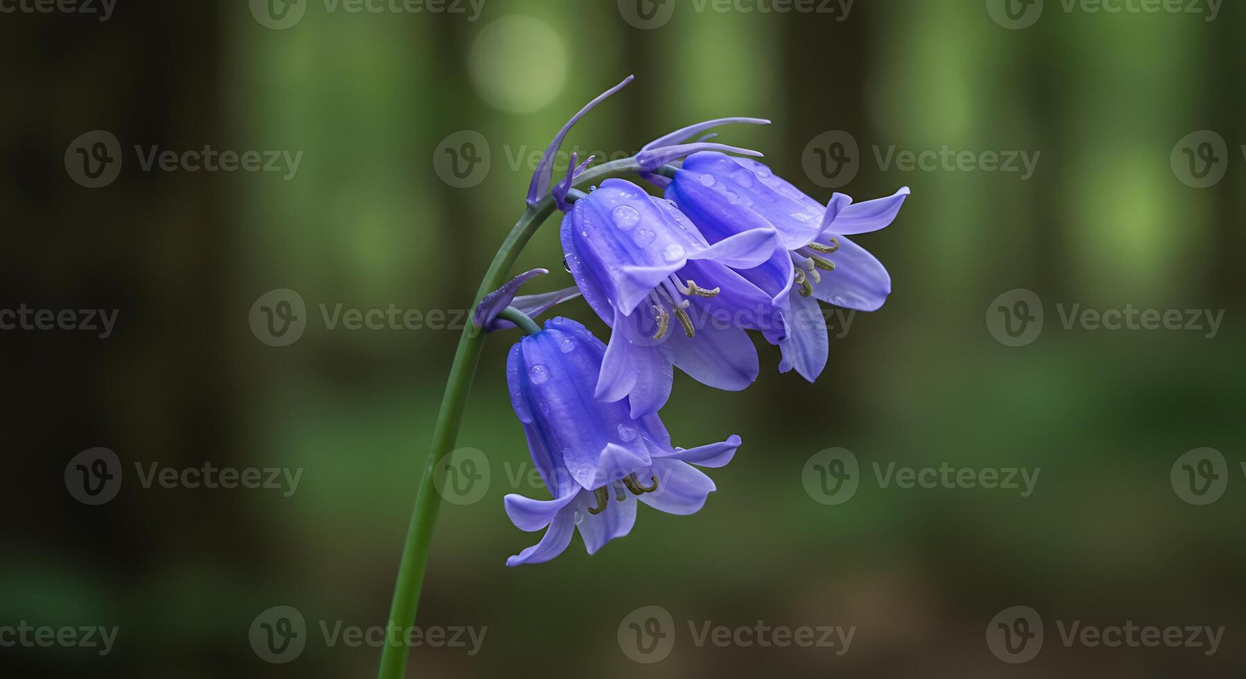 Realistic Macro Photography of a Flower with Vivid Details photo