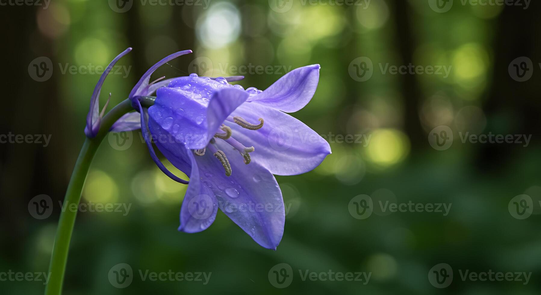 Ultra-Detailed Outdoor Bloom with Crisp, Realistic Textures photo