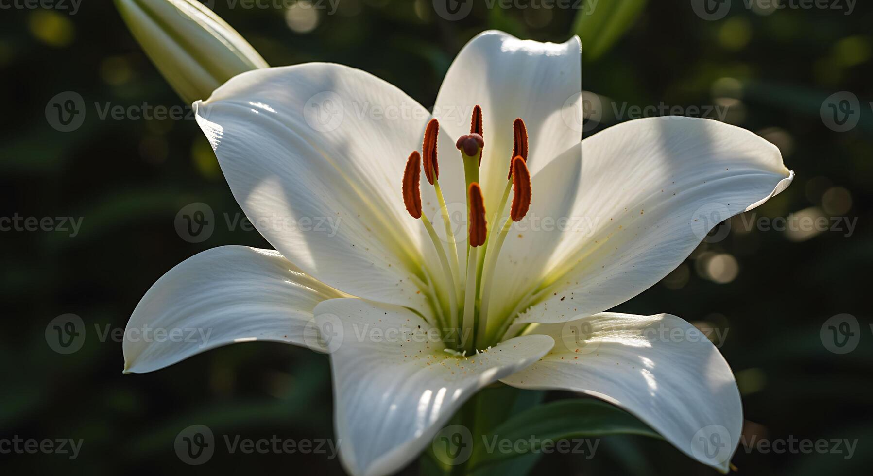 Sharp Texture Flower Close-Up Captured in a Natural Setting photo