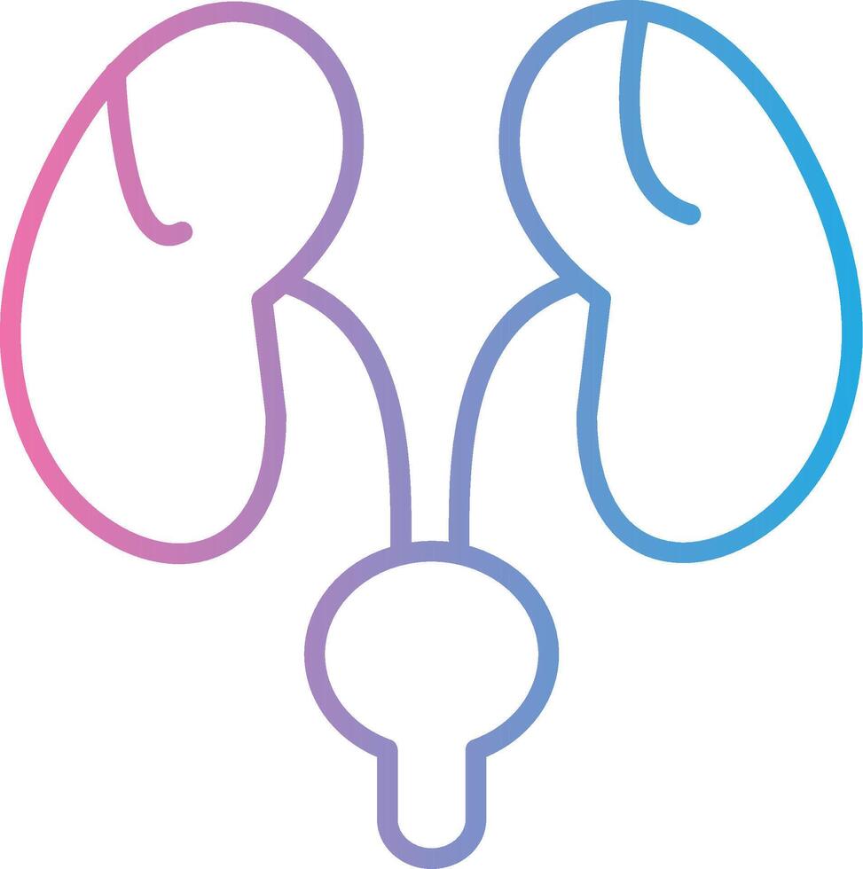 Bladder Color Enhanced Graphic vector