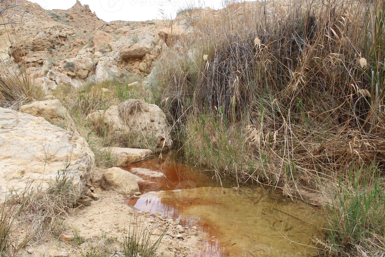 a stream running through a rocky area with brown water photo