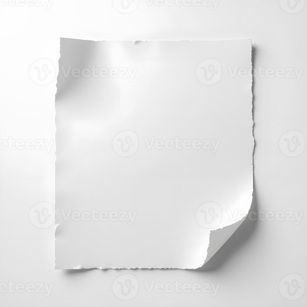 A torn white paper sheet isolated on a white background photo