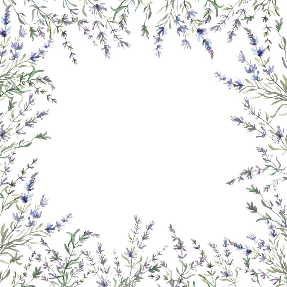 Watercolor floral frame with lavender. Hand drawn illustration vector